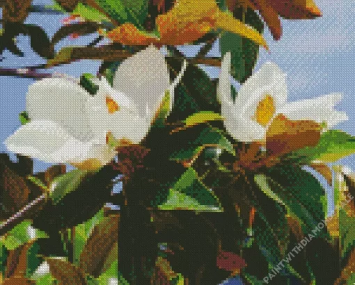 Evergreen Magnolia Flower Diamond Painting