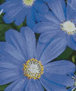 Felicia Amelloides Daisy Diamond Painting