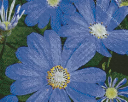 Felicia Amelloides Daisy Diamond Painting