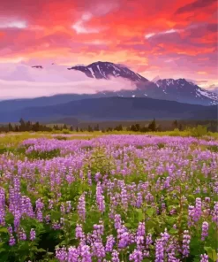 Field Of Lupine Diamond Painting