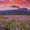 Field Of Lupine Diamond Painting