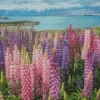 Fields Of Colorful Lupine Flowers Diamond Painting