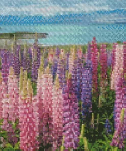 Fields Of Colorful Lupine Flowers Diamond Painting