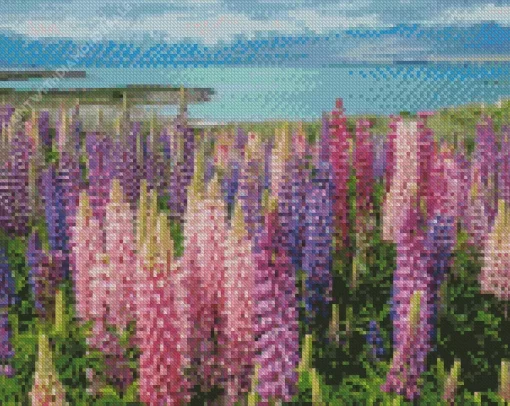 Fields Of Colorful Lupine Flowers Diamond Painting