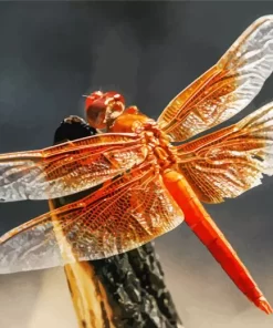 Flame Skimmer Dragonfly Diamond Painting