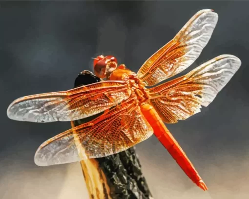 Flame Skimmer Dragonfly Diamond Painting