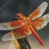 Flame Skimmer Dragonfly Diamond Painting