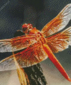 Flame Skimmer Dragonfly Diamond Painting