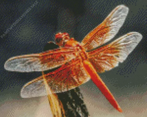 Flame Skimmer Dragonfly Diamond Painting