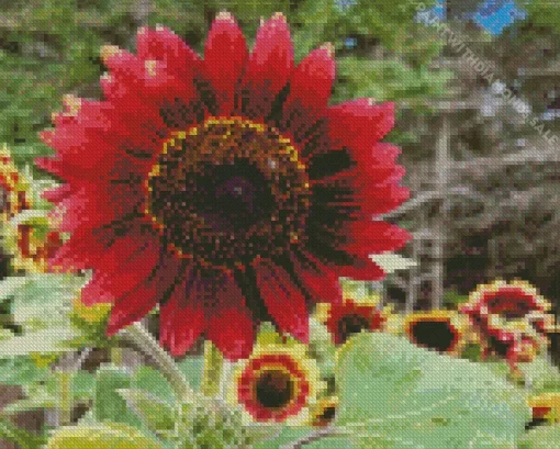 Florenza Sunflower Diamond Painting