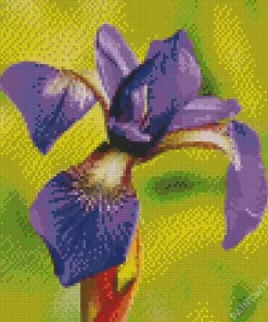 Flower Iris Close Up Diamond Painting