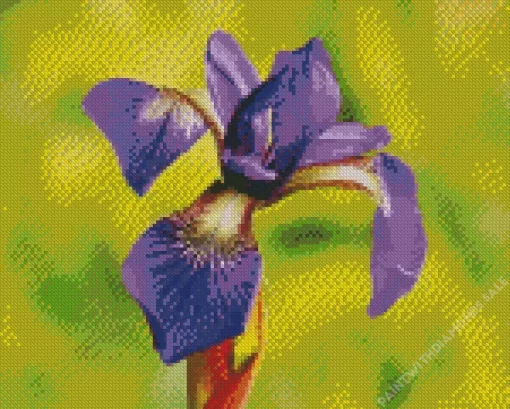 Flower Iris Close Up Diamond Painting