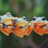 Frogs Diamond Painting