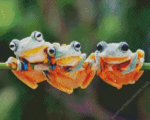 Frogs Diamond Painting