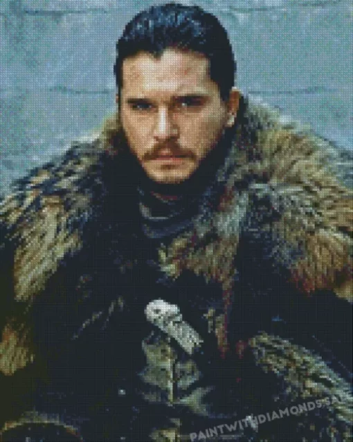 GOT Jon Snow diamond dotz