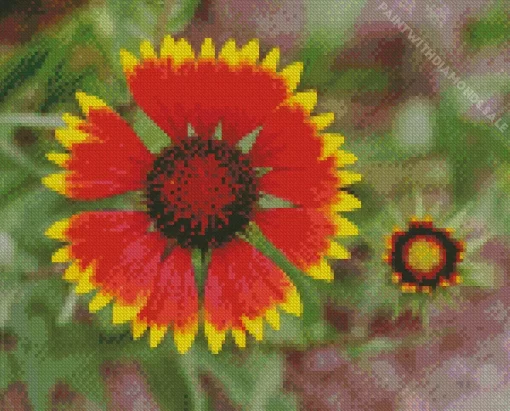 Gaillardia Flower Diamond Painting