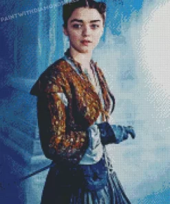 Game Of Thrones Arya Stark diamond dotz