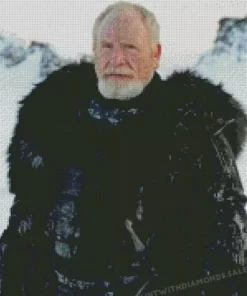 Game Of Thrones Jeor Mormont diamond dotz