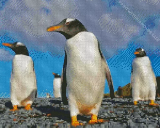 Gentoo Penguins Diamond Painting