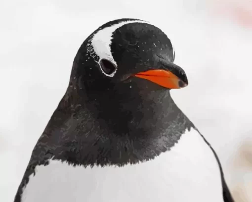 Gentoo Penguins Close Up Diamond Painting