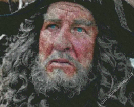 Geoffrey Rush Pirates Of The Caribbean Diamond Painting