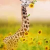 Giraffe And Sunflowers Diamond Painting