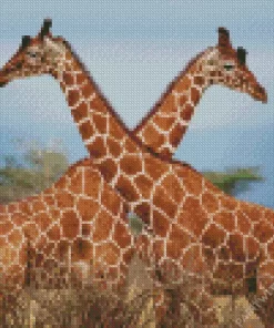 Giraffe Couple Diamond Painting