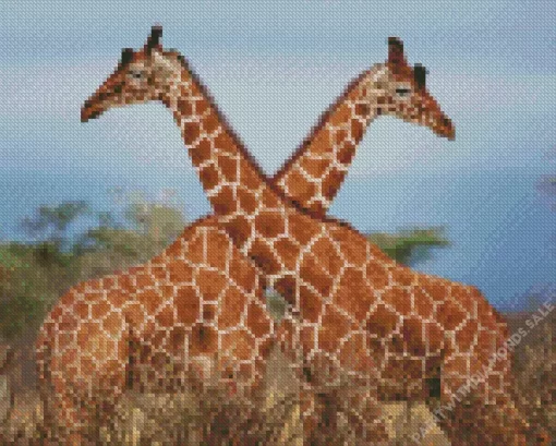 Giraffe Couple Diamond Painting