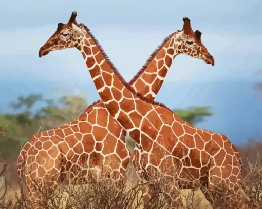 Giraffe Couple Diamond Painting