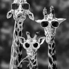 Giraffe Family With Sunglasses Diamond Painting