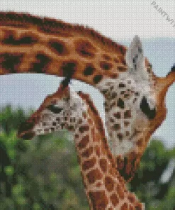 Giraffe Mother And Baby Diamond Painting