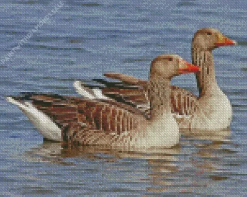 Greylag Geese Pair Diamond Painting