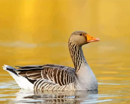 Greylag Goose Bird Diamond Painting