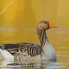 Greylag Goose Bird Diamond Painting