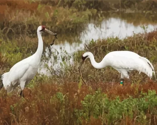 Grus Cranes Pair Diamond Painting