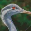 Grus Genus Crane Diamond Painting