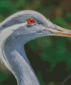 Grus Genus Crane Diamond Painting