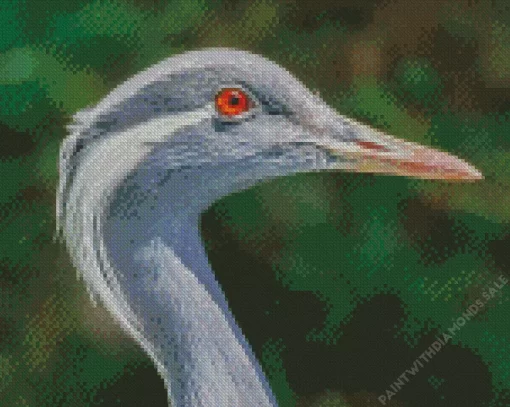 Grus Genus Crane Diamond Painting