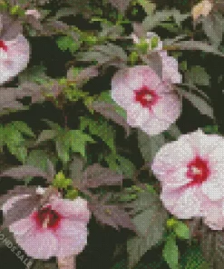 Hardy Hibiscus Flower Diamond Painting