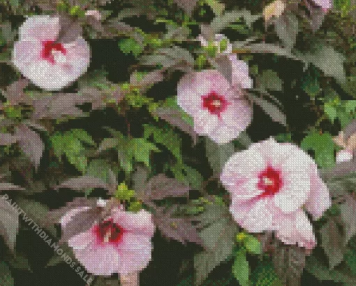 Hardy Hibiscus Flower Diamond Painting