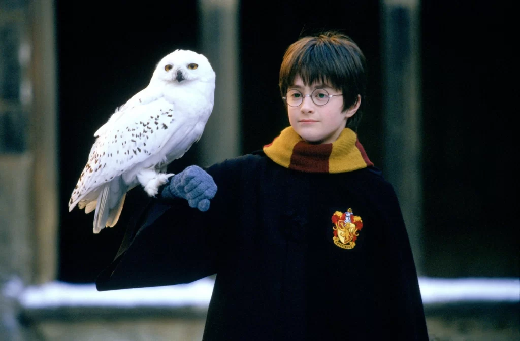 Daniel Radcliffe as young harry Potter with Hedwig