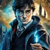 Harry Potter Character7 diamond paints