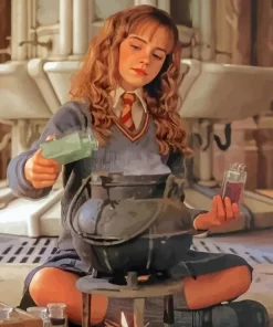 Harry Potter Hermione diamond paintings