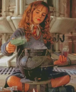 Harry Potter Hermione diamond paintings