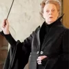 Harry Potter Maggie Smith Diamond Painting