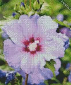 Hibiscus Althea Diamond Painting