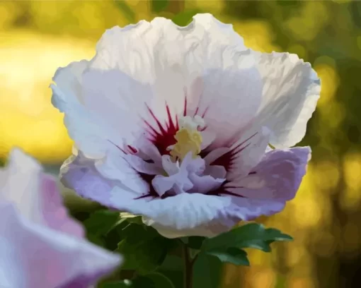 Hibiscus Althea Flower Diamond Painting