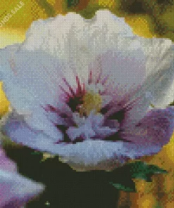 Hibiscus Althea Flower Diamond Painting