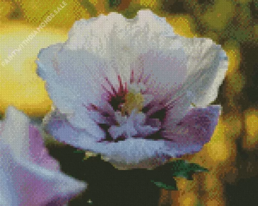 Hibiscus Althea Flower Diamond Painting