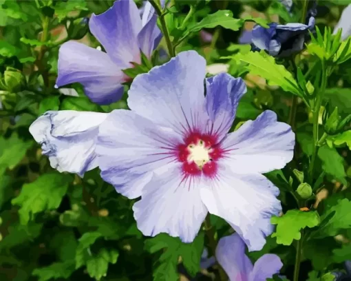 Hibiscus Syriacus Diamond Painting